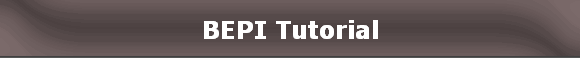 BEPI Tutorial
