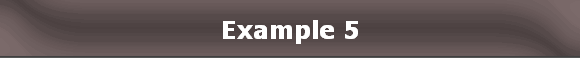 Example 5