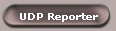 UDP Reporter