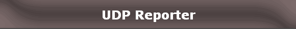 UDP Reporter