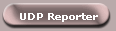 UDP Reporter